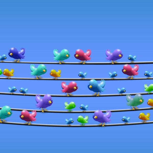 Graphic of multi-coloured birds on telephone wires.